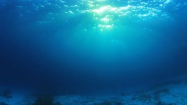 Okyanusun güzel sualtı manzarası