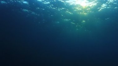 Okyanusun güzel sualtı manzarası