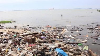 Okyanustaki plastik çöp kirliliği. Çevresel sorun kavramı