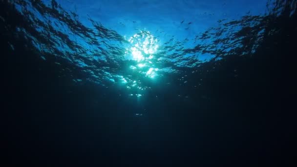 Prachtig Onderwater Landschap Van Oceaan — Stockvideo