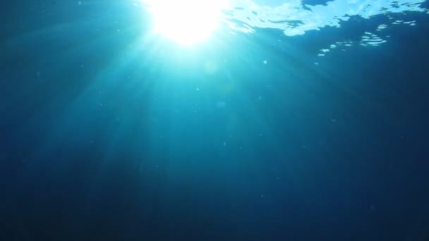 Beau Paysage Sous Marin Océan — Video