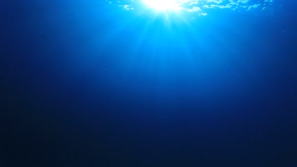 Hermoso Paisaje Submarino Del Océano — Vídeos de Stock