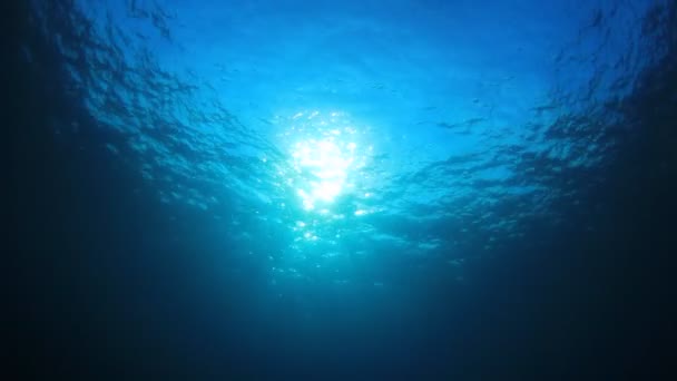 Beau Paysage Sous Marin Océan — Video