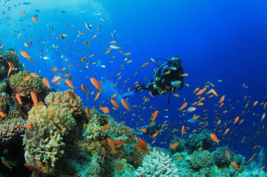 Mavi denizin derinliklerindeki dalgıcın sualtı fotoğrafı.