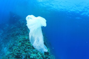 Okyanustaki plastik çöp kirliliği. Çevresel sorun kavramı