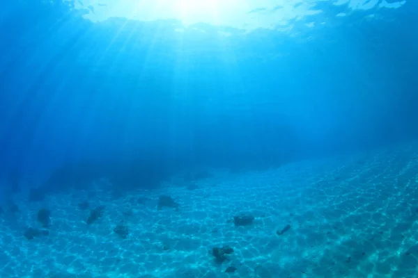 Fondo Submarino Con Rayos Sol — Foto de Stock