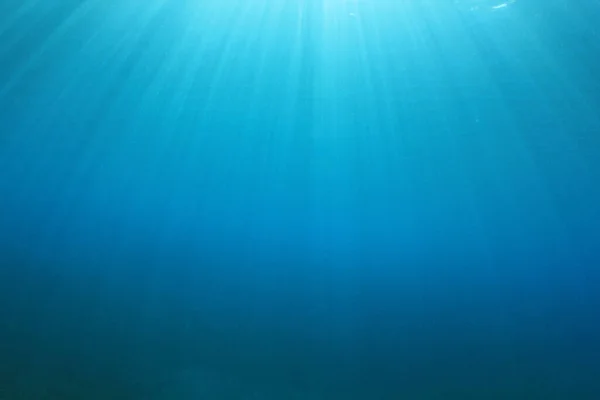 Okyanusun Güzel Sualtı Manzarası — Stok fotoğraf