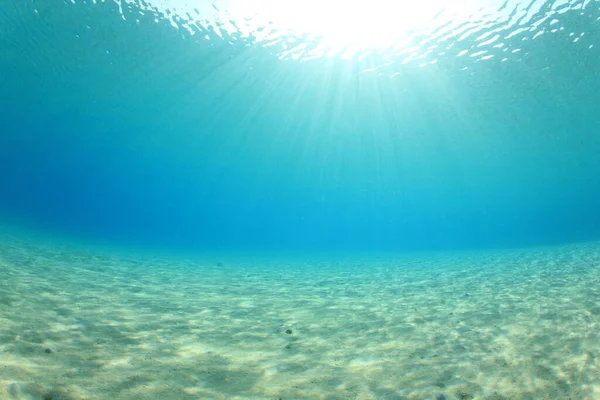 Gyönyörű Víz Alatti Táj Óceán — Stock Fotó