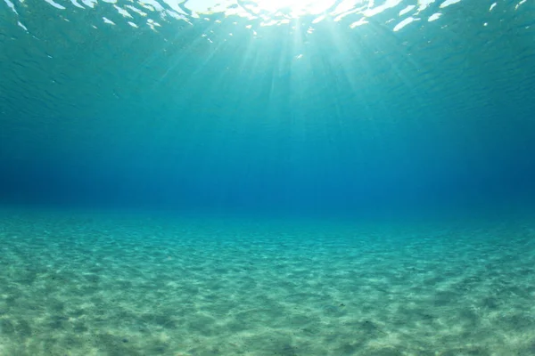 Piękny Podwodny Krajobraz Oceanu — Zdjęcie stockowe