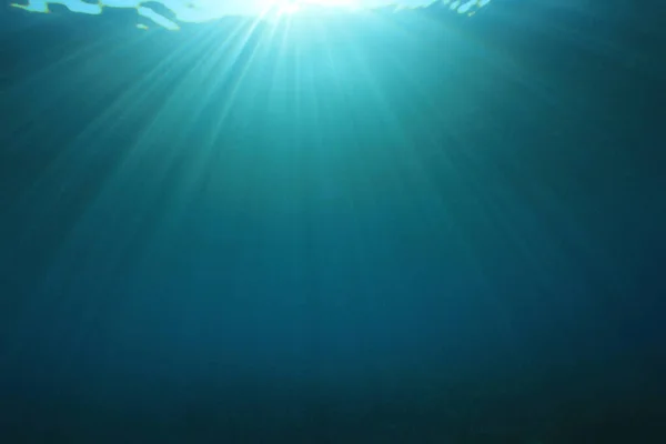 Vakkert Undervannslandskap Havet – stockfoto
