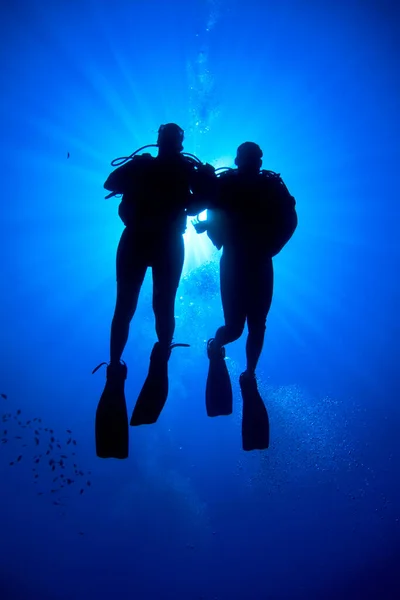 Foto Submarina Del Grupo Buceadores Profundidad Del Mar Azul — Foto de Stock