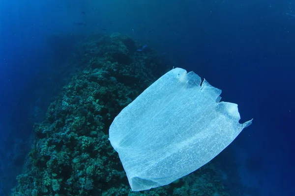 Muovijätettä Meressä Ympäristöongelman Käsite — kuvapankkivalokuva