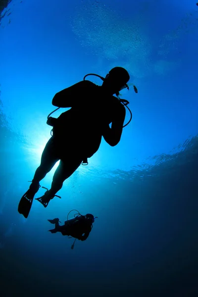 Foto Submarina Del Grupo Buceadores Profundidad Del Mar Azul — Foto de Stock