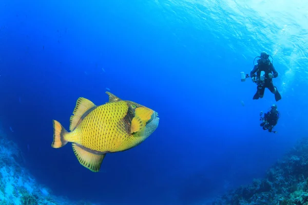 Onderwaterfoto Van Groep Duikers Gele Vissen Diepte Van Blauwe Zee Rechtenvrije Stockfoto's