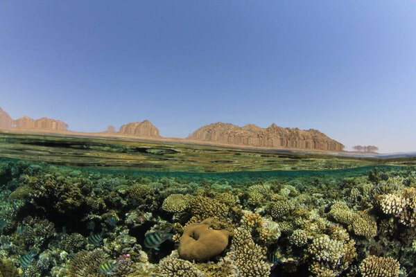 Beautiful Landscape Ocean Stock Photo