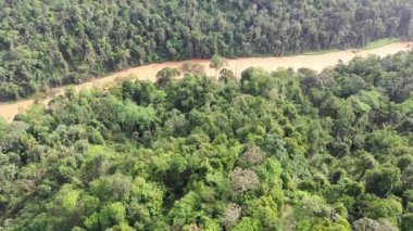 Yeşil doğanın insansız hava aracı manzarası 