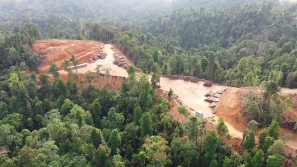 Drone Luchtlandschap Van Groene Natuur — Stockvideo