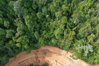 Yeşil doğanın insansız hava aracı manzarası 