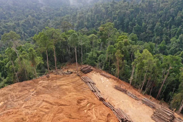 Vista Aerea Della Montagna Del Caucaso Estate Concetto Deforestazione — Foto Stock