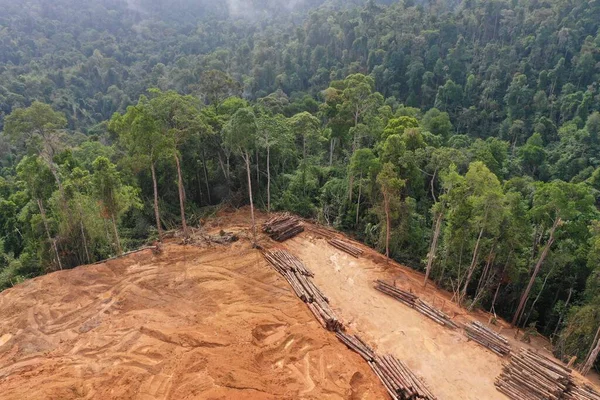 夏のコーカサス山脈の空の景色です 森林破壊の概念 — ストック写真