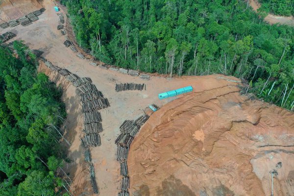 aerial view of the mountain of the caucasus in a summer. deforestation concept