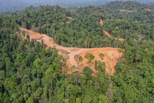 Drone Aerial Landscape Green Nature — Stock Photo, Image