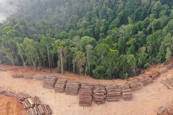 Vista Aerea Della Montagna Del Caucaso Estate Concetto Deforestazione — Foto Stock