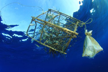 Okyanusta balık dolu bir ağ