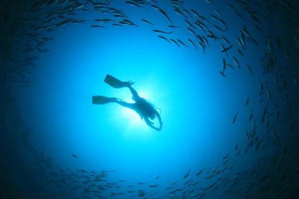 Foto Submarina Buzo Profundidad Del Mar Azul —  Fotos de Stock