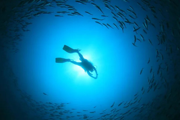 Unterwasserfoto Eines Tauchers Der Tiefe Des Blauen Meeres — Stockfoto