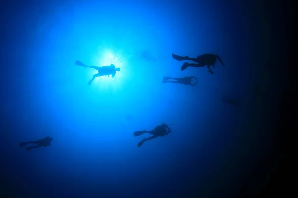 Onderwaterfoto Van Groep Duikers Diepte Van Blauwe Zee — Stockfoto