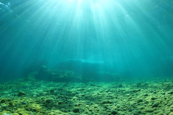 Undervannsbakgrunn Med Solstråler – stockfoto