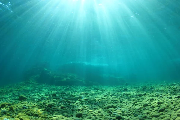 太陽の光で水中を背景に — ストック写真