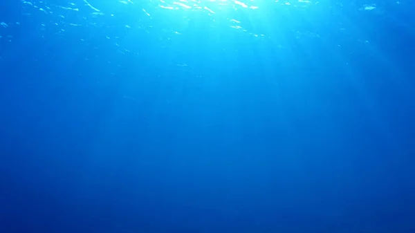 Prachtig Onderwater Landschap Van Oceaan — Stockfoto