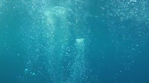 Красивий Підводний Пейзаж Океану — стокове відео