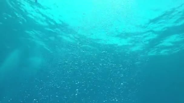 Bellissimo Paesaggio Subacqueo Dell Oceano — Video Stock