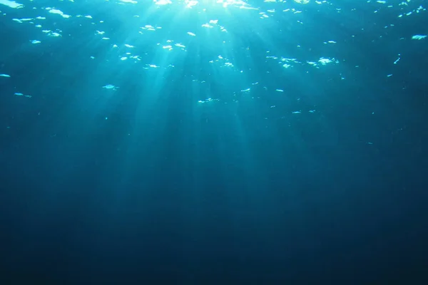 Okyanusun Güzel Sualtı Manzarası — Stok fotoğraf