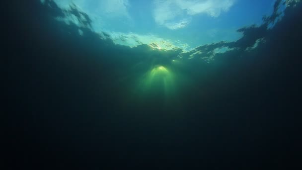 Wunderschöne Unterwasserlandschaft Des Ozeans — Stockvideo