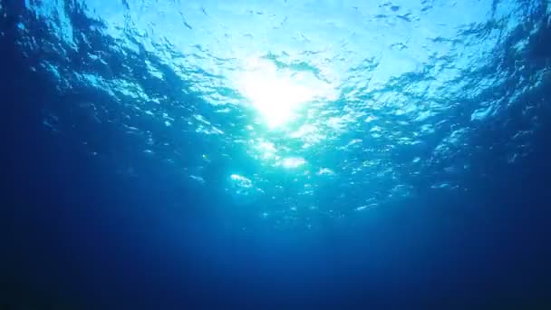 Красивий Підводний Пейзаж Океану — стокове відео