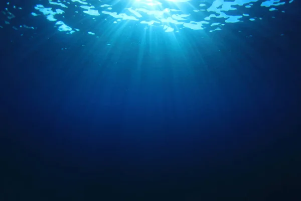 Bela Paisagem Subaquática Oceano — Fotografia de Stock