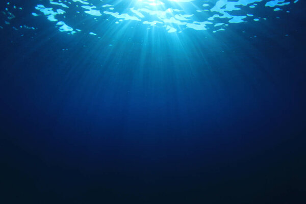 beautiful underwater landscape of the ocean