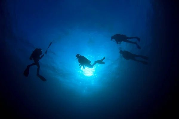 Mavi Denizin Derinliklerinde Bir Grup Dalgıcın Sualtı Fotoğrafı — Stok fotoğraf