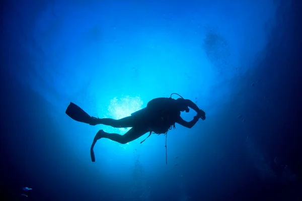 Foto Subaquática Mergulhador Profundidade Mar Azul Fotos De Bancos De Imagens