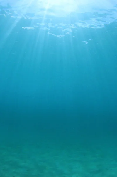 Hermoso Paisaje Submarino Del Océano — Foto de Stock