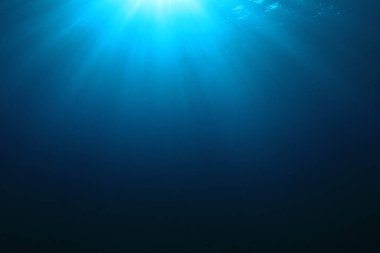 Okyanusun güzel sualtı manzarası