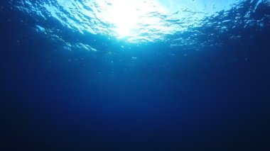 Okyanusun güzel sualtı manzarası