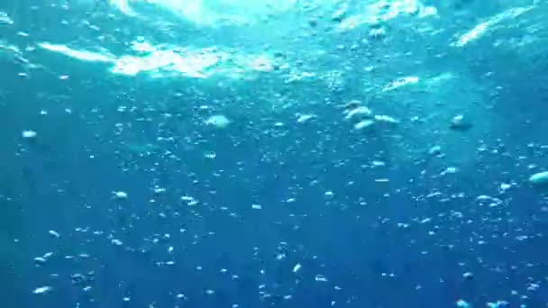 Hermoso Paisaje Submarino Con Burbujas Del Océano — Vídeos de Stock