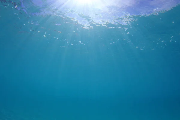 Kaunis Vedenalainen Maisema Meressä — kuvapankkivalokuva