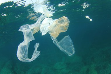 Okyanustaki plastik çöp kirliliği. Çevresel sorun kavramı
