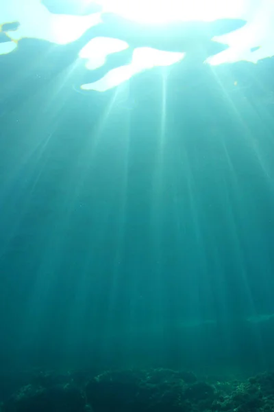 Krásná Podvodní Krajina Oceánu — Stock fotografie